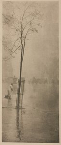 swedish av Alfred Stieglitz