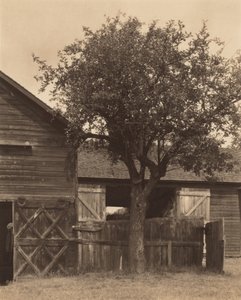 Ladan av Alfred Stieglitz