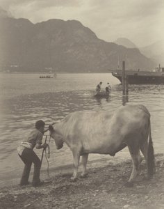 Det ofrivilliga badet av Alfred Stieglitz