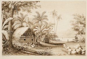 Gravar på Muthuata Island, Fiji (wc på papper) av Alfred Thomas Agate