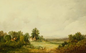 Får vid en kyrka i ett skogslandskap