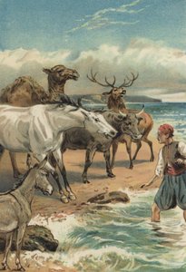 Arabian Nights: The History of Beder and Giauhare
