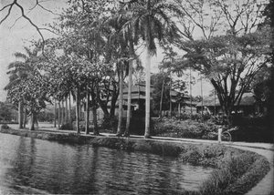 Kandy - A Picturesque Corner of the Lake, c1890, 1910