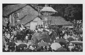 Kandy Perahera. - En procession av elefanter genomförd av Kandyan Chiefs, c1890, 1910