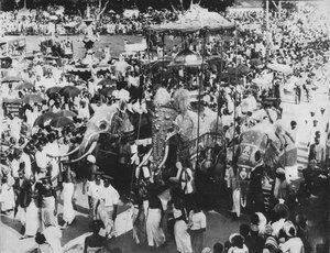 Helig elefant i Perahera-processionen, Kandy, Ceylon, c1890, 1910 av Alfred William Amandus Plate