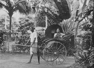 Tamilsk dam i Rickshaw, c1890, 1910