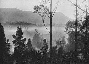 The Early Morning Mist Rising at Nuwara Eliya, c1890, 1910 av Alfred William Amandus Plate