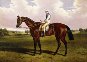 Bloomsbury, A Chestnut Racehorse med Sam Templeman uppe, i ett landskap,