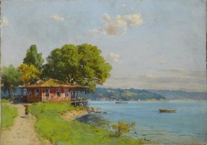 Istanbul av Ali Riza Hoca