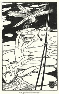 Illustration till The Water-Babies av Charles Kingsley (litografi) av Alice Bolingbroke (after) Woodward