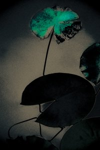 Emerald Spring, från serien Spring, 2020 (handmålat fotografi)