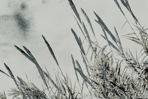 Harvest, 2017 (handmålat fotografi)
