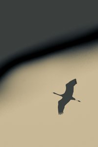 Into the Void, 2016 (fotografi)