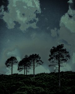 Last Light, 2018 (handmålat fotografi)