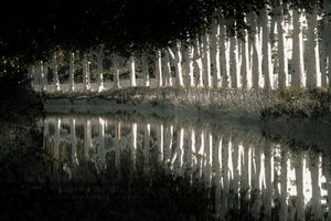 Rendering, 2018 (handmålat fotografi)