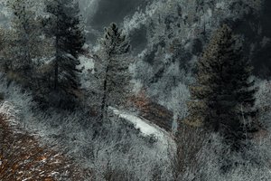 The Road from Milan, 2018 (handmålat fotografi)