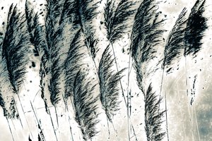 Wind from the West, 2016 (handmålat fotografi)