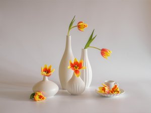  av Alice Sheng