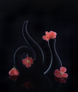  av Alice Sheng