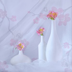  av Alice Sheng