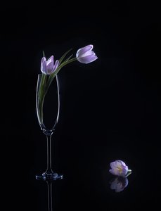  av Alice Sheng