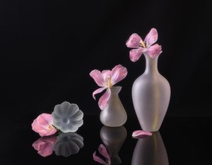  av Alice Sheng
