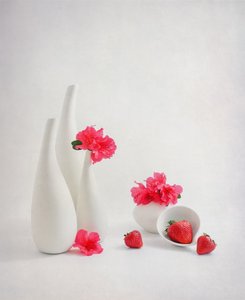  av Alice Sheng