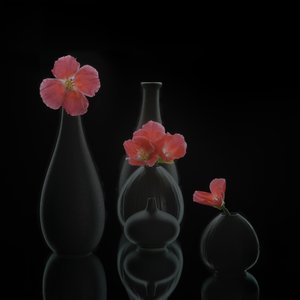  av Alice Sheng