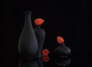  av Alice Sheng