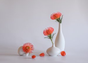  av Alice Sheng