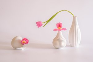  av Alice Sheng