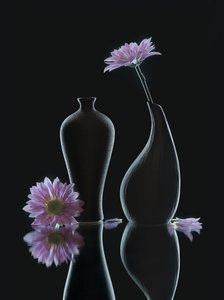  av Alice Sheng
