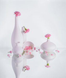 av Alice Sheng
