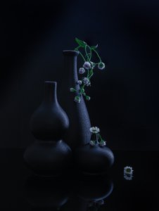  av Alice Sheng