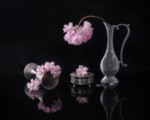  av Alice Sheng