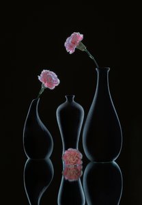  av Alice Sheng