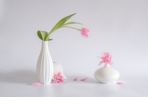  av Alice Sheng