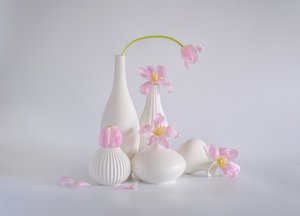  av Alice Sheng