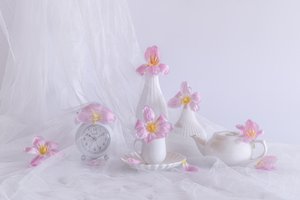 av Alice Sheng