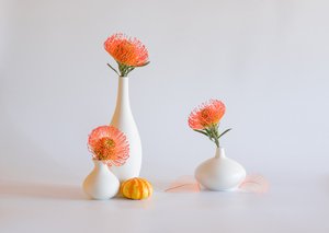  av Alice Sheng