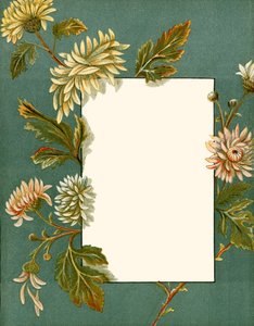november av Alicia Amy Leith