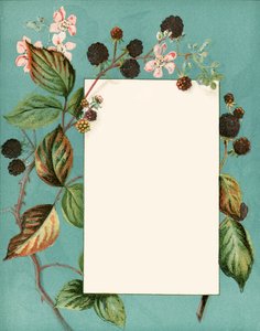 september av Alicia Amy Leith
