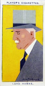 Martin Hawke, 7:e baron Hawke