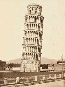 Klocktorn, Pisa av Alinari Brothers