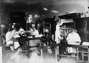 Villa Rosa Maltoni Mussolini: studerar i biblioteket (s/v foto) av Fratelli Alinari