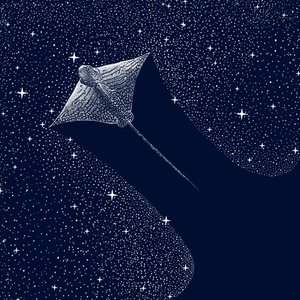 Kosmisk örnrocka av Alirıza ÇAKIR