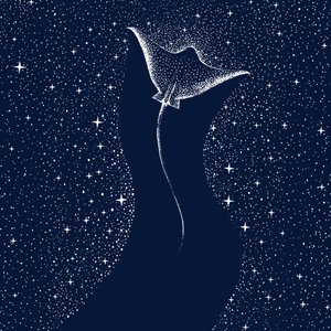 Kosmisk mantarocka av Alirıza ÇAKIR