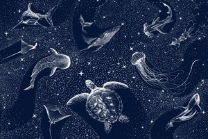 Djur i det kosmiska havet av Alirıza ÇAKIR