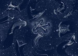 Kosmisk havsdröm av Alirıza ÇAKIR