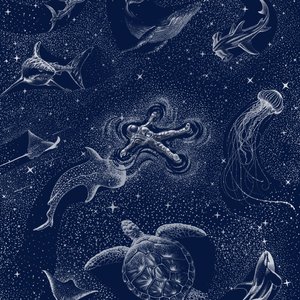 Kosmisk havsresa av Alirıza ÇAKIR
